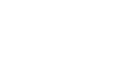 AIG Seguros